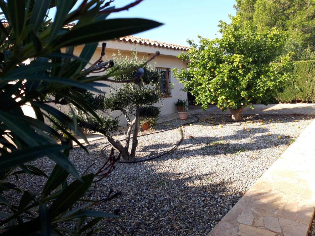 Willa Casa La Rana Calafat Zewnętrze zdjęcie